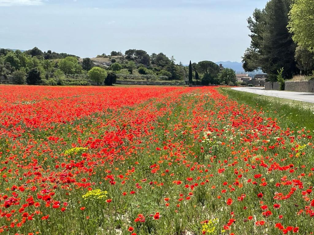 Dependance Cosy Avec Petit Dejeuner Entre Gordes Et L'isle Sur La Sorgue *